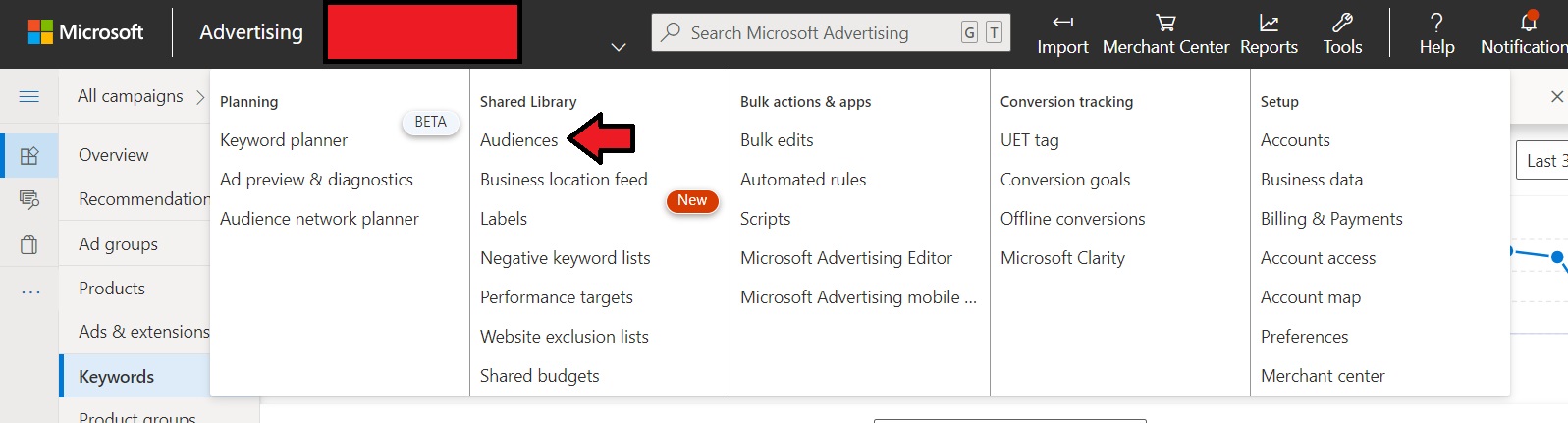 Microsoft Advertising Remarketing Audiences